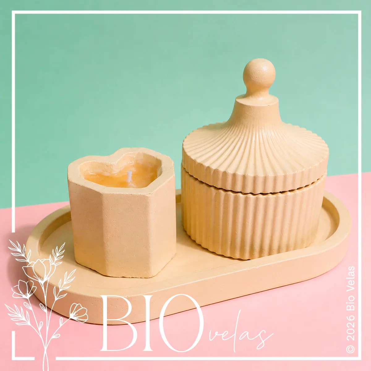 Juego maceta y alahejo — Bio Velas
