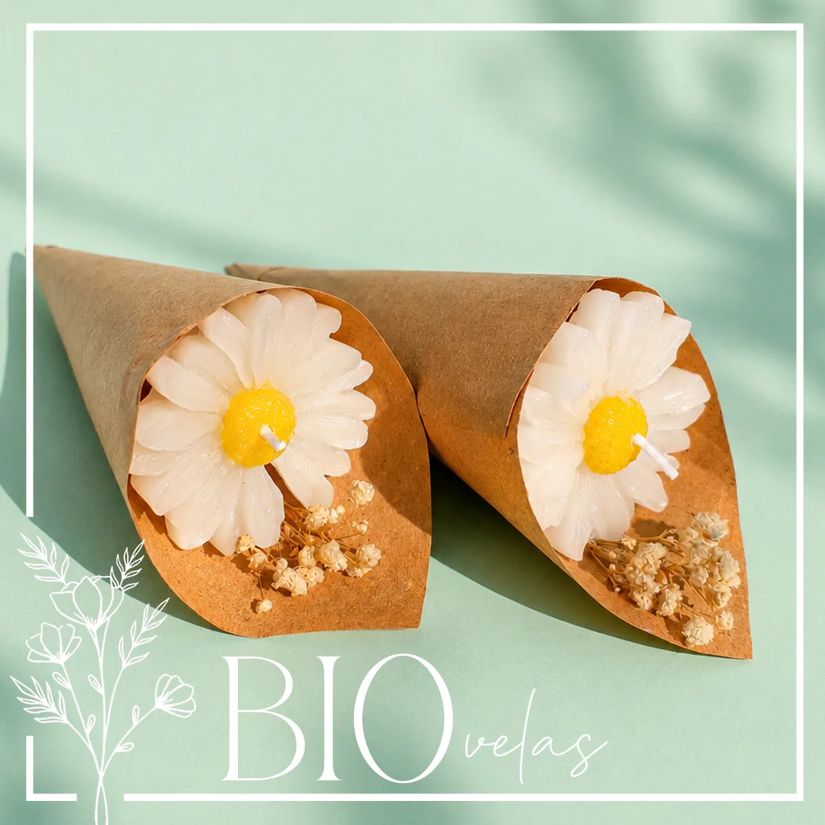 Margarita en ramo — Bio Velas