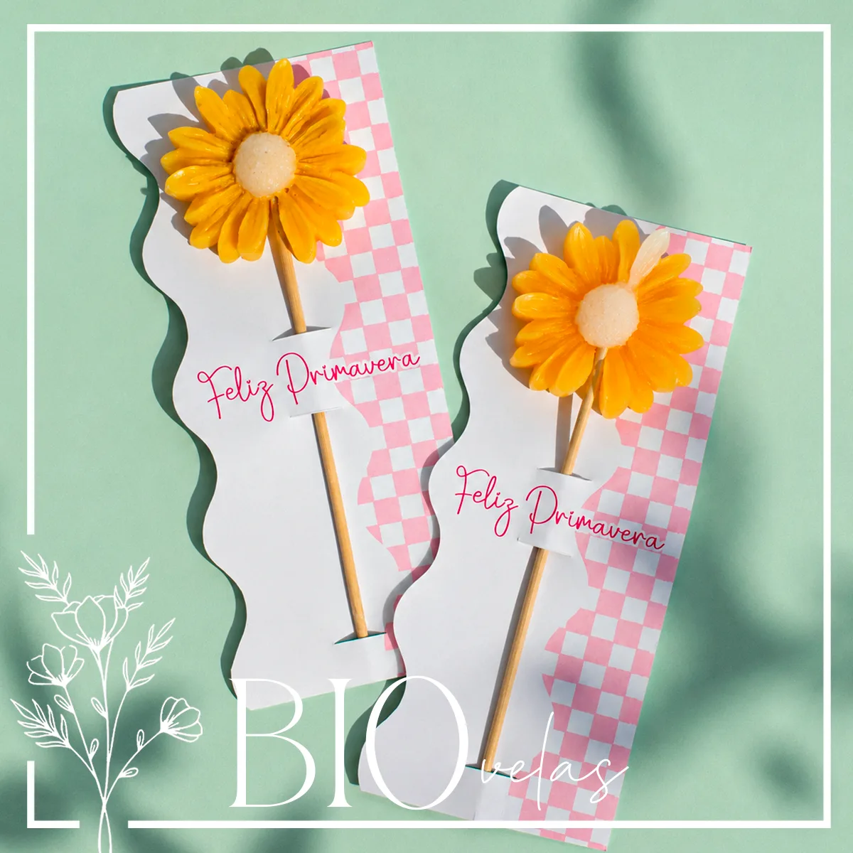 Margarita en tarjeta grande — Bio Velas