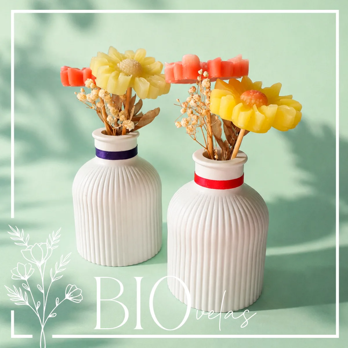 Margaritas en florero — Bio Velas
