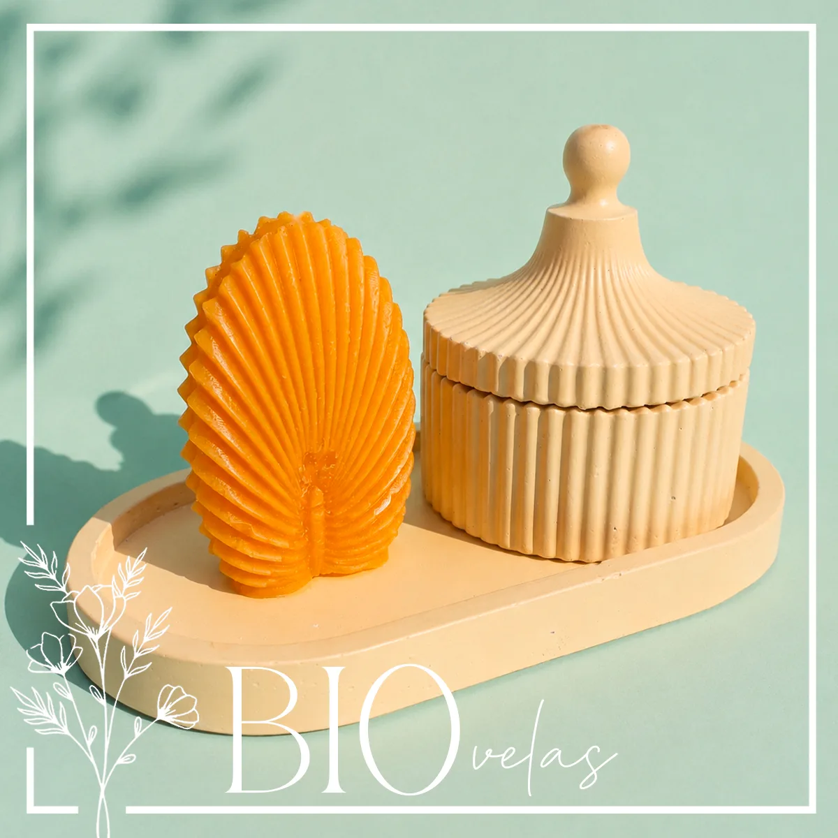 Ostra en juego de yeso — Bio Velas