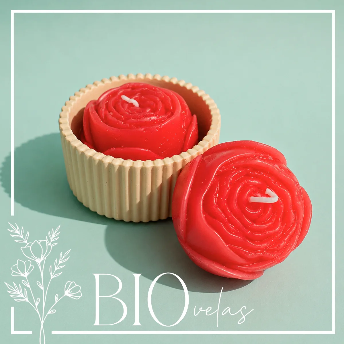 Rosa en base circular — Bio Velas