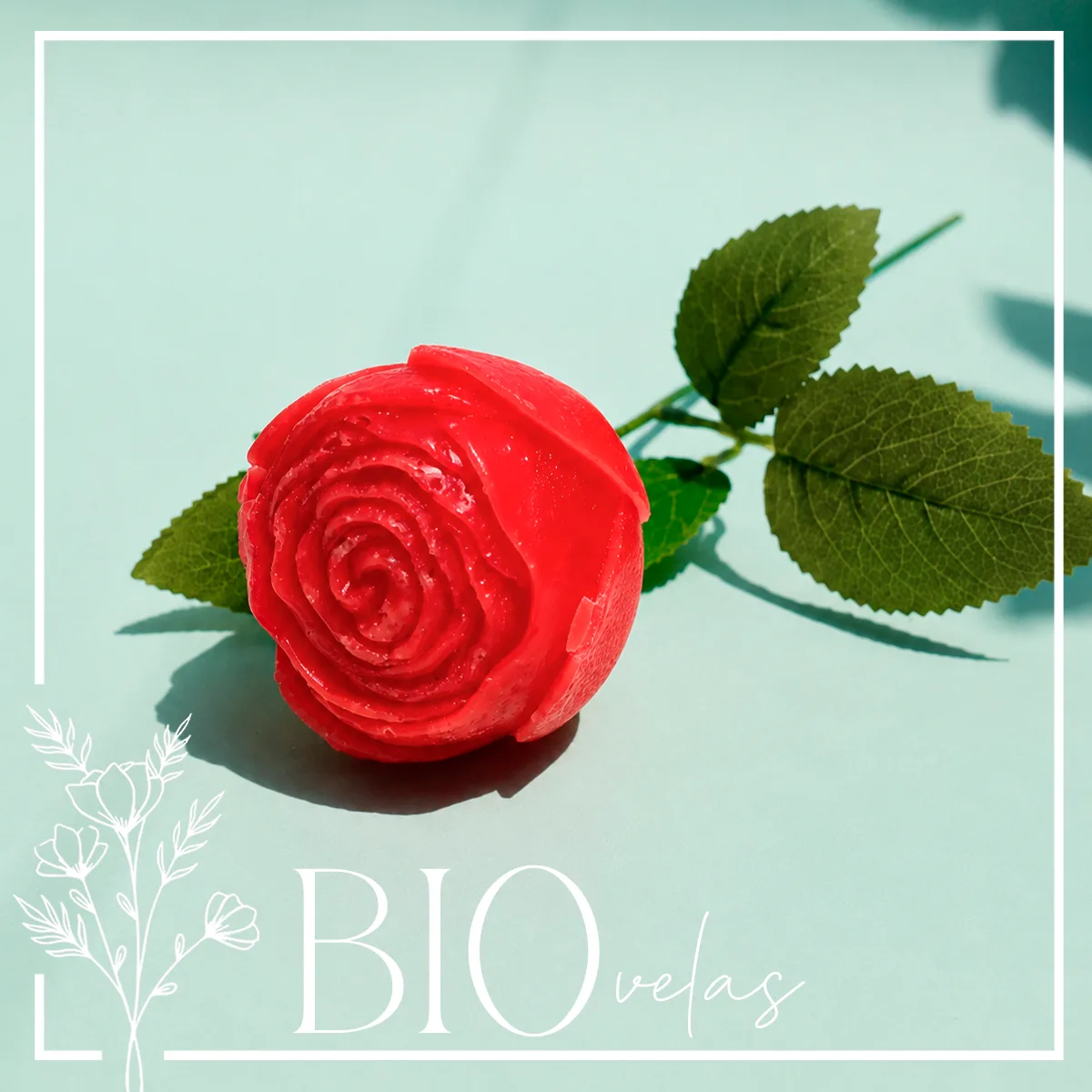 Rosa en tallo — Bio Velas
